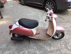 Honda Scoopy AF55. 49����. ��., ��������, ��� ���, ��� ������� ����
