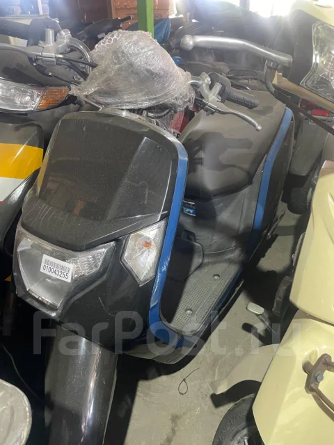 Honda Dunk. 49����. ��., ��������, ���������, ��� ������� ����
