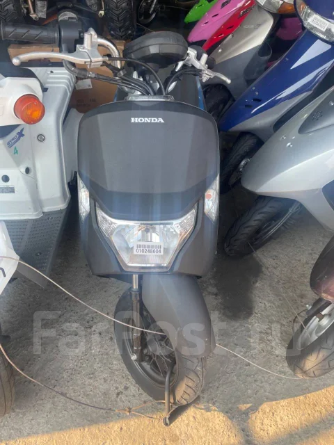Honda Dunk. 49����. ��., ��������, ���������, ��� ������� ����