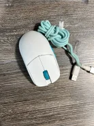 ���� �������. ����