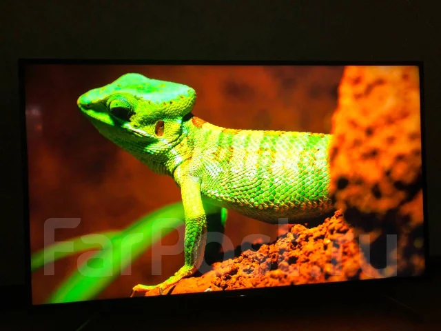 Sony KD-55XE8096 ����