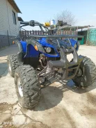 Yamaha Grizzly 125. ��������, ��� ���\���, �� ����