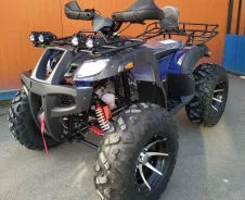 Grizzly 300. ��������, ��� ���\���, ��� �������. ��� ����� �� ������������ ����