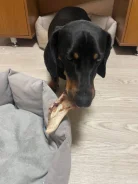 �����. ����