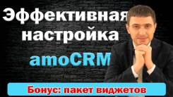     AMOcrm (CRM)       
