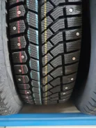 Viatti Brina. ������, ����������, 2023 ���, ����� ����