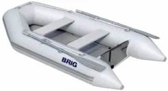 BRIG Dingo D265. 2012 ���, ����� 2,7��., ��������� ���������, 5��.�., ������ ����
