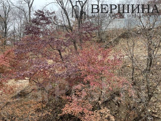 Продается квартира с черновой отделкой - Купить 3-комнатная квартиру во ...