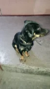 ������. ����