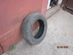 Toyo NP01. ������, �/�, ����� 50 % ����