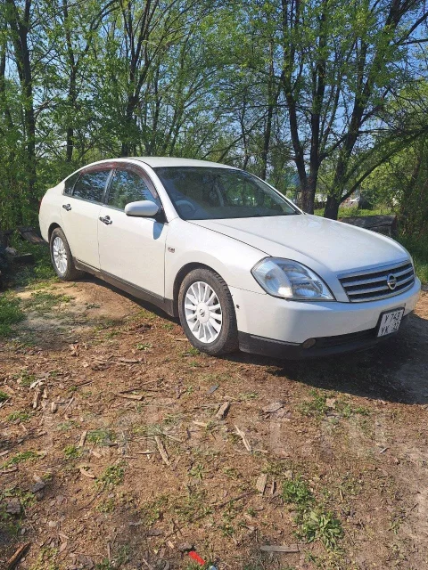 Nissan Teana. �������, ��������, 2.3 (173��.�.), ������, 250 000����. �� ����