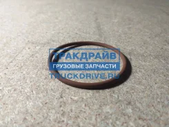 ����������� ���������� ������ Iveco 17283681 17283681 ����