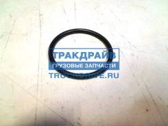      MAN [57x4,5 N-EPDM9-70] MAN 06.56939-0079 06569390079 