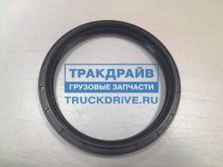    ZF 6S 8S 16S 10512512-16  Corteco 12036979B 12036979B 
