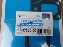 ��������� ���������� ���� ������ ��������� Victor Reinz 71-37836-00 713783600 ����