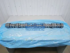 ���������� ������ 10 ���� 3 BF 20101408000 20101408000 ����