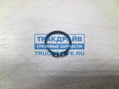 ������ ��������� ��� ZF 16S151 Sampa 106.254 106254 ����