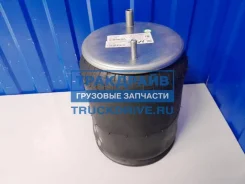 ������������� Cardi Zorzi �� �������� SK SK-391209K-01PL SK391209K01PL ����