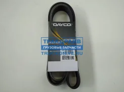 ������ ������������ ��� ����������� ��� XF95 CF85 8 ������ 1718 �� Dayco 8PK1716HD 8PK1716HD ����