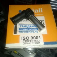 ������ ��������� �������� ������ ����� ����� � ����������� 2260411 Cojali 2260411 2260411 ����