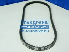 ������ �������� 13x1030 �� Contitech AVX13X1030 AVX13X1030 ����