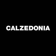 -.    ,  CALZEDONIA.   2 