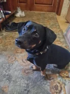������. ����