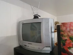 Daewoo. OLED ����
