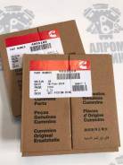    Cummins 6ISBe 4955169 4955169 