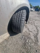 Glede. ������, 2024 ���, ����� ����