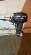 �����. 2020 ���, ����� 4,2��., ��������� ���������, 15��.�., ������ ����