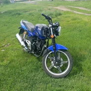 Racer Magnum RC200-C5B. 200����. ��., ��������, ���������, ������ �� �� ����