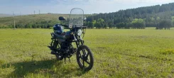 Regulmoto Alpha RM-2. 49����. ��., ��������, ��� ���, ������ �� �� ����