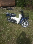 Suzuki Birdie. 50����. ��., ��������, ���������, ��� ������� ����