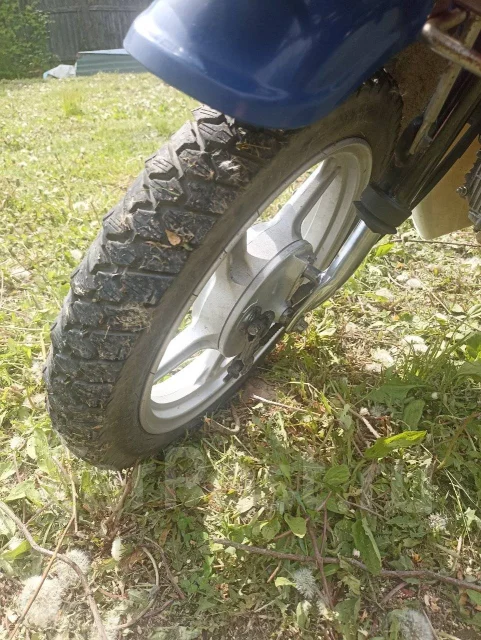 Suzuki Birdie. 50����. ��., ��������, ���������, ��� ������� ����