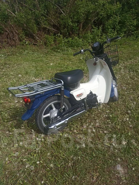 Suzuki Birdie. 50����. ��., ��������, ���������, ��� ������� ����