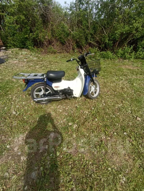 Suzuki Birdie. 50����. ��., ��������, ���������, ��� ������� ����