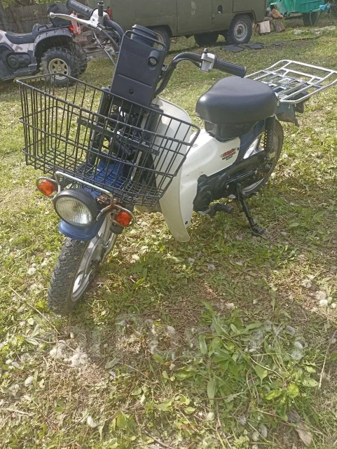 Suzuki Birdie. 50����. ��., ��������, ���������, ��� ������� ����
