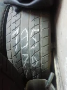 Zeetex MUSTANG 101. ������, �/�, ����� 60 % ����