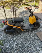 Honda Zoomer. 50����. ��., ��������, ��� ���, ������ �� �� ����