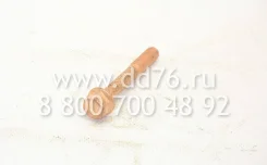 ���� 310135 310135 ����
