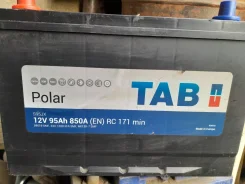 TAB. 95��.�., D31, 850��., ������, ������������ ������ ����