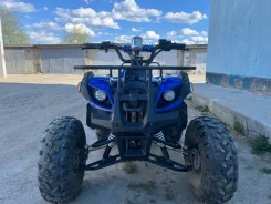 Yamaha Grizzly 125. ��������, ��� ���\���, �� ����