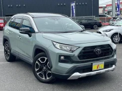 Toyota RAV4. ��������, 4wd, 2.0 (171��.�.), ������, 25 353����. ��, �/�, ��� ���. ��� ����� �� ������������ ����