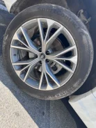 Continental CZ 91 SportContact. ������, �/�, ����� 80 % ����