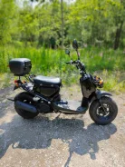 Honda Zoomer. 49����. ��., ��������, ��� ���, ������ �� �� ����
