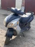 Irbis RZR. 150����. ��., ��������, ��� ���, ������ �� �� ����