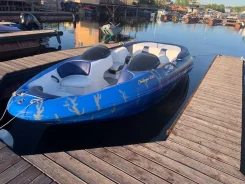 BRP Sea-Doo Challenger. 2004 ���, ����� 6��., ��������� ������������, 240��.�., ������ ����