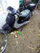 Honda Lead 50 AF20. 49����. ��., ��������, ���������, ������ �� �� ����