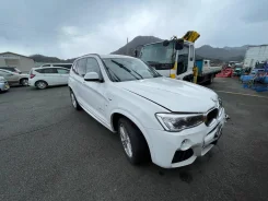 BMW X3. WBAWY320600N96696, N47D20C ����